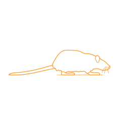 Animals Rodents Common Rat Stencil Svg Design File, Free Vectors File